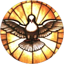 Profilbild von „Steven 'la Pako“